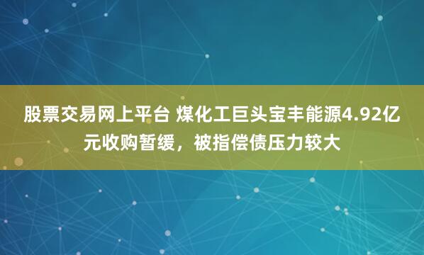 股票交易网上平台 煤化工巨头宝丰能源4.92亿元收购暂缓，被指偿债压力较大