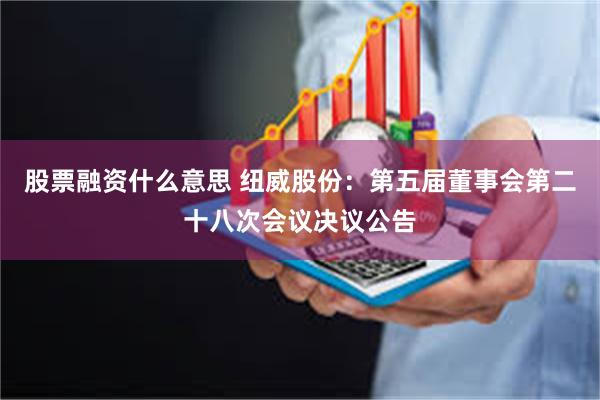 股票融资什么意思 纽威股份：第五届董事会第二十八次会议决议公告