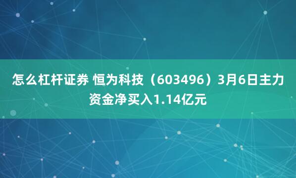 怎么杠杆证券 恒为科技（603496）3月6日主力资金净买入1.14亿元