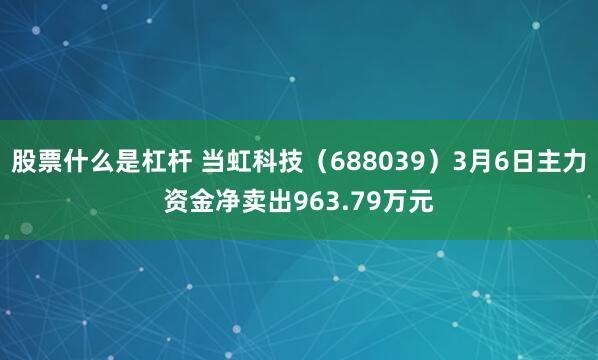 股票什么是杠杆 当虹科技（688039）3月6日主力资金净卖出963.79万元