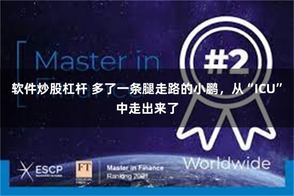 软件炒股杠杆 多了一条腿走路的小鹏，从“ICU”中走出来了