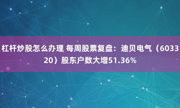 杠杆炒股怎么办理 每周股票复盘：迪贝电气（603320）股东户数大增51.36%