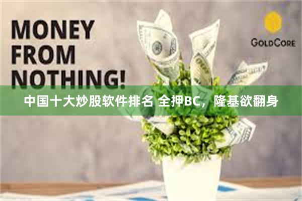 中国十大炒股软件排名 全押BC，隆基欲翻身