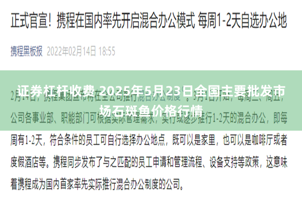 证券杠杆收费 2025年5月23日全国主要批发市场石斑鱼价格行情